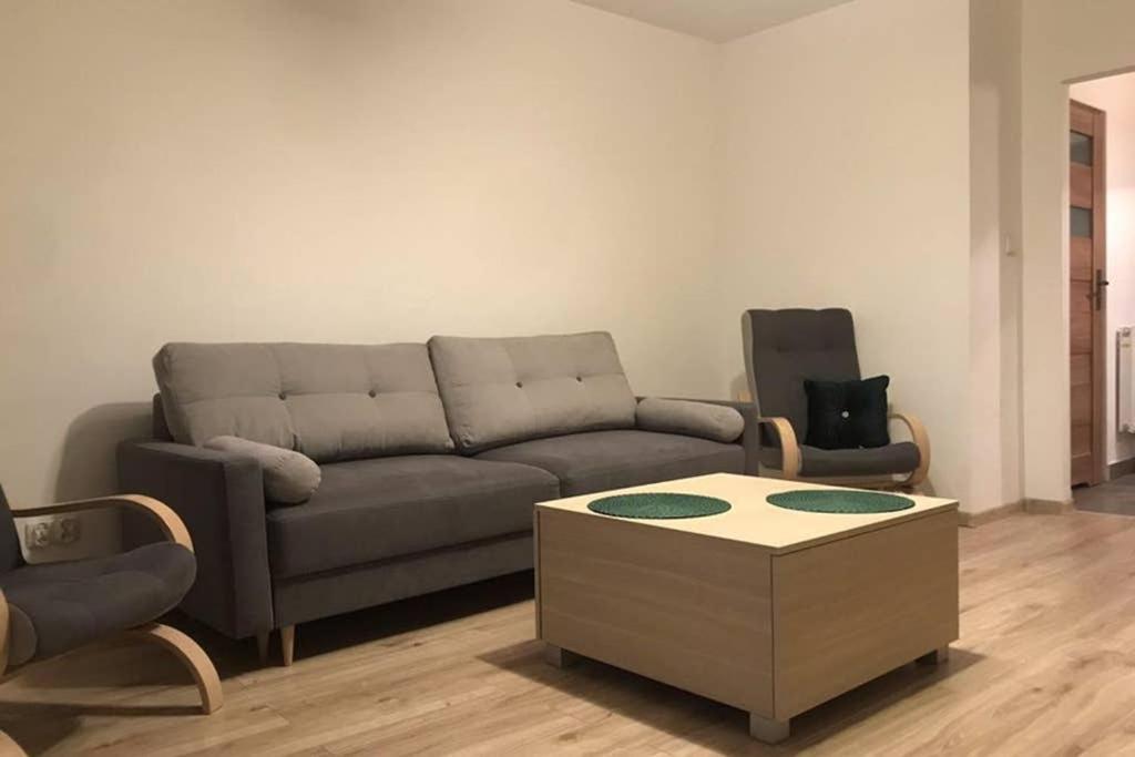 Kameralny Apartament Tuz Przy Krupowkach Ζακοπάνε Εξωτερικό φωτογραφία